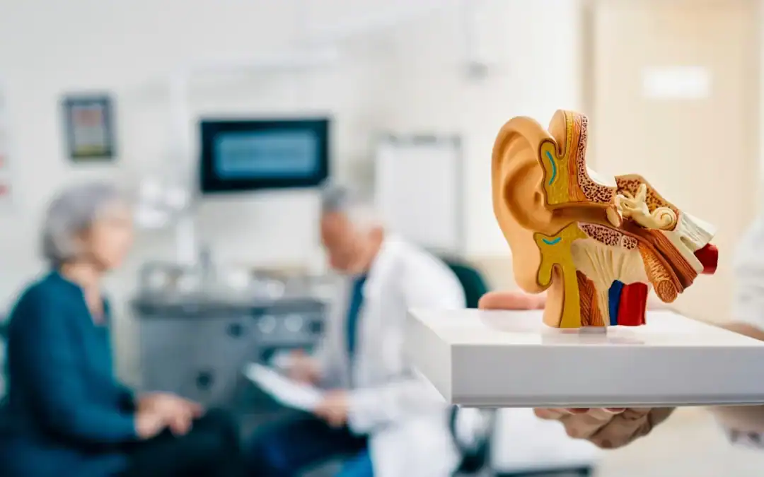 How the Brain Fills in Missing Sounds When Hearing Declines